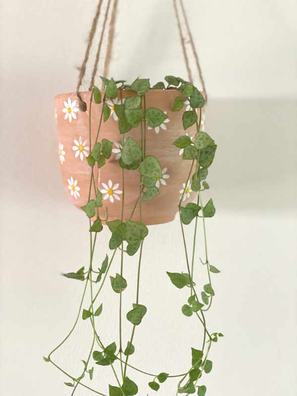 Vintage terracotta hangende bloempot met witte bloemen | Sass and Belle