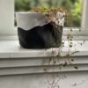 Plantenmandje waterdicht wit met zwarte golven | Baski