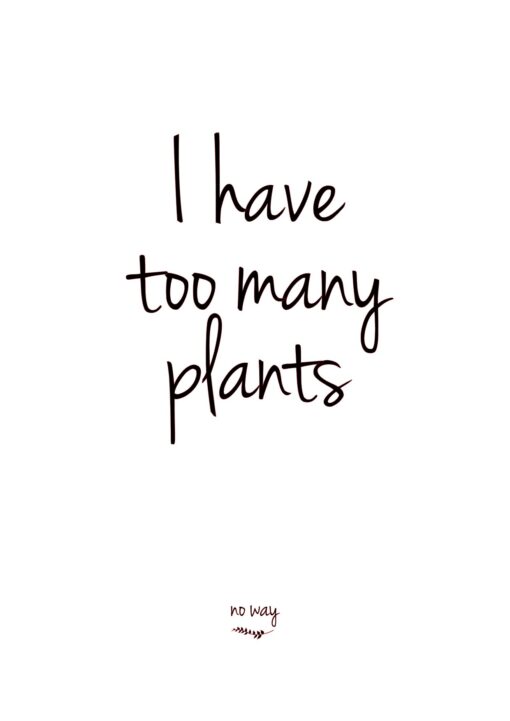 Ansicht kaar kaartje met tekst I have too many plants | MdB